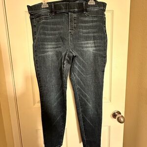 J. Jill Dark Blue Skinny Jeans